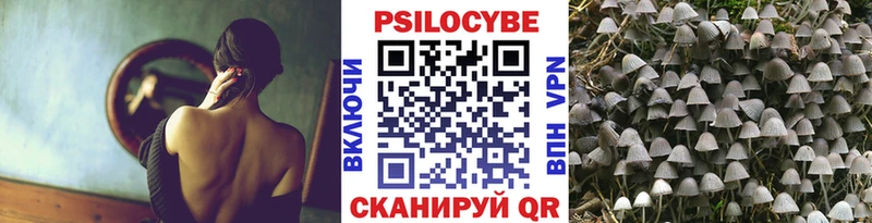 где купить наркоту  Заозёрск  Галлюциногенные грибы MAGIC MUSHROOMS 